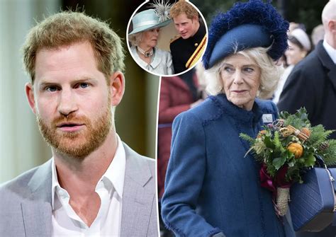 camilla leaks|Prince Harry accuses Camilla of ‘dangerous’ leaks to。